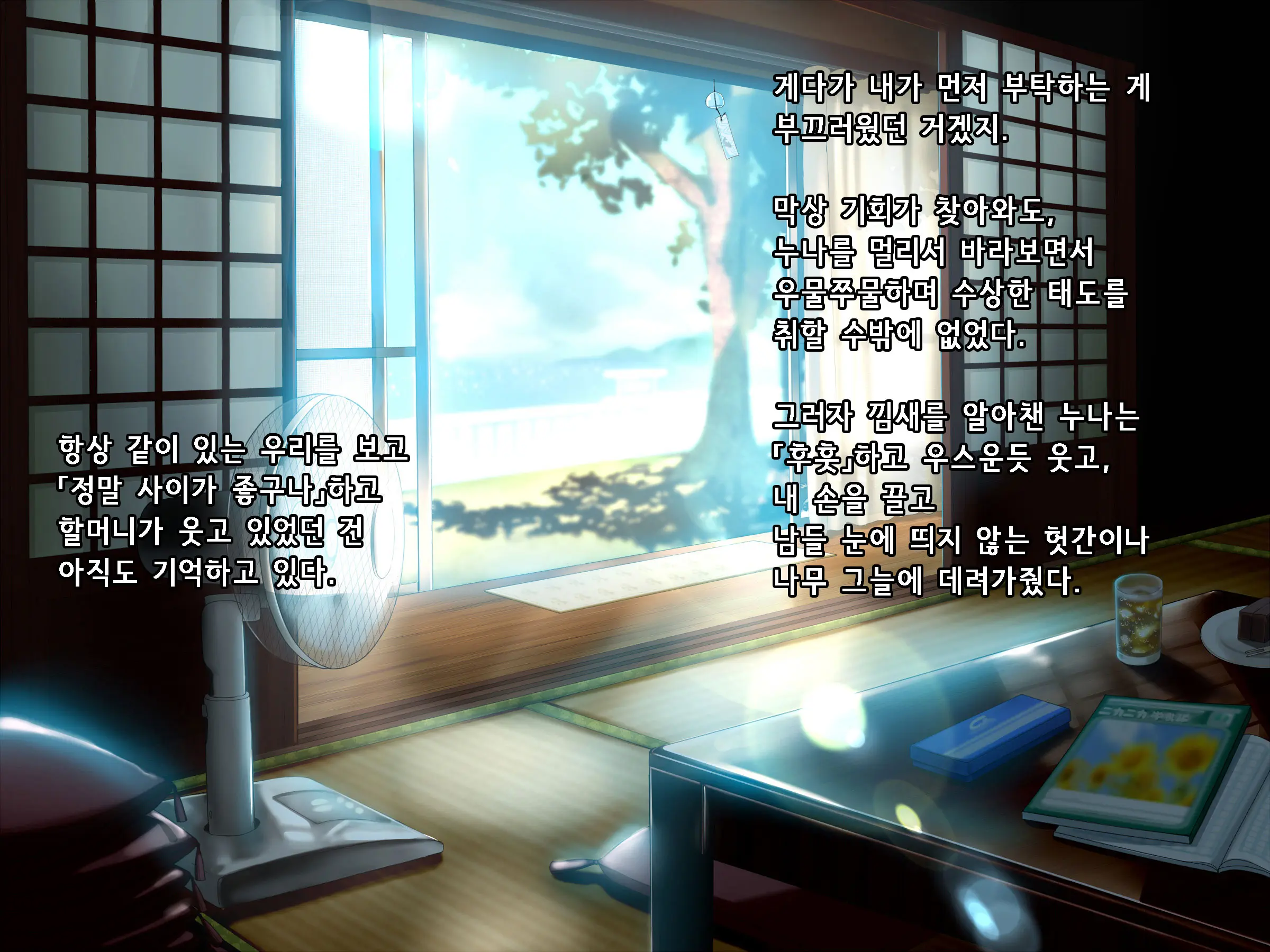 Onee-San To Natsu Yasumi | 누나와 여름방학